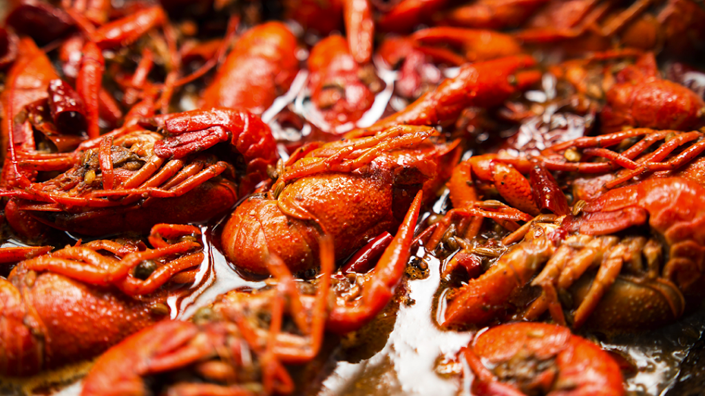 Lindys Seafood | restaurant | 1548 Taylors Island Rd, Woolford, MD 21677, USA | 4102285032 OR +1 410-228-5032