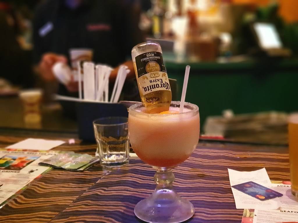 Rainforest Cafe | restaurant | 505 Rain Forest Rd, Lake Buena Vista, FL 32830, USA | 4079389100 OR +1 407-938-9100