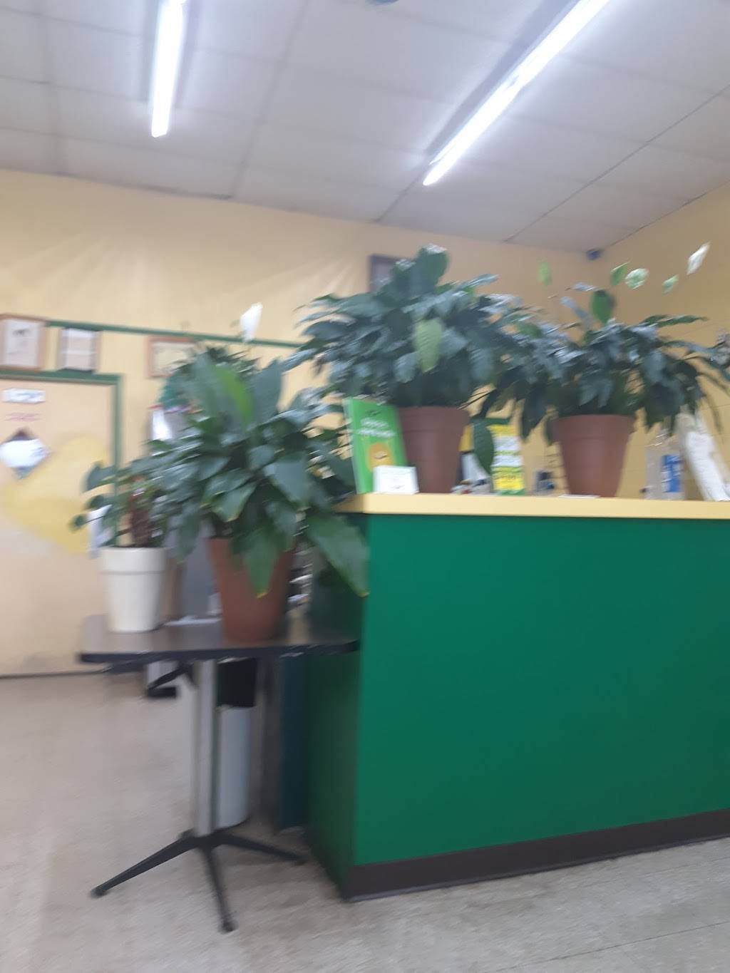 Serving Spoon | restaurant | 2109 Buena Vista Rd, Columbus, GA 31906, USA | 7063275856 OR +1 706-327-5856