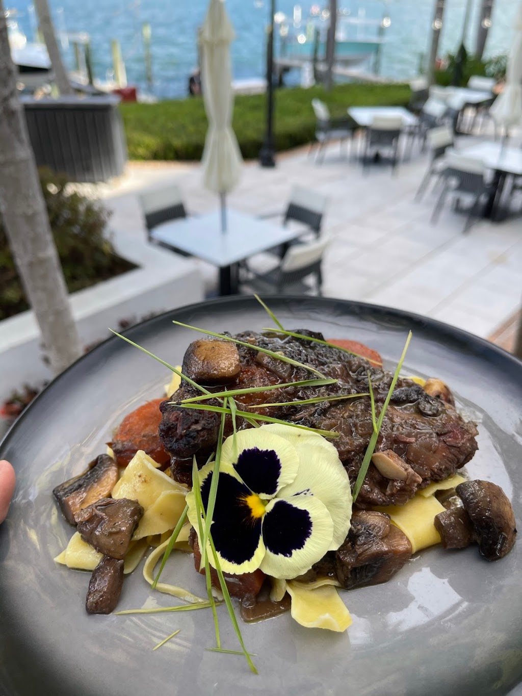 Great House of Quayside | restaurant | 5000 Towerside Terrace, Miami Shores, FL 33138, USA | 3058951174 OR +1 305-895-1174