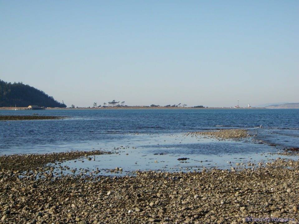 Shanghai Chinese Restaurant | restaurant | 265 Hudson St, Port Townsend, WA 98368, USA | 3603854810 OR +1 360-385-4810