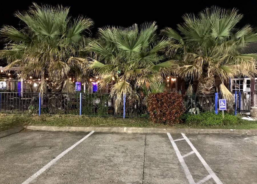 Luxor Indo/mex &sports Bar | restaurant | 1680 TX-121 BUS, Lewisville, TX 75067, USA | 4694643198 OR +1 469-464-3198