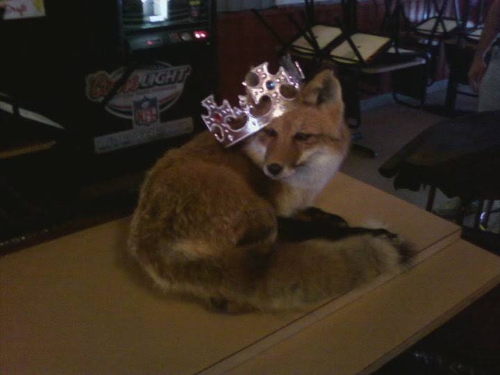 Foxys Restuarant and Lounge | restaurant | 51 N Meridian Rd, Youngstown, OH 44509, USA | 3307928000 OR +1 330-792-8000