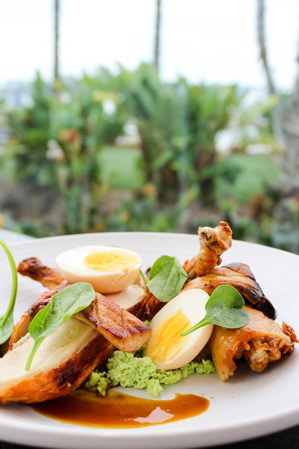 Tidal | restaurant | 1404 Vacation Rd, San Diego, CA 92109, USA | 8584906363 OR +1 858-490-6363