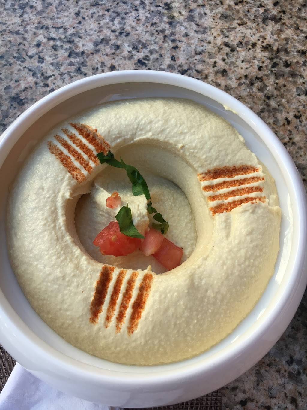 Shishka Lebanese Grill | restaurant | 1901 N Federal Hwy #109, Pompano Beach, FL 33062, USA | 9549432999 OR +1 954-943-2999