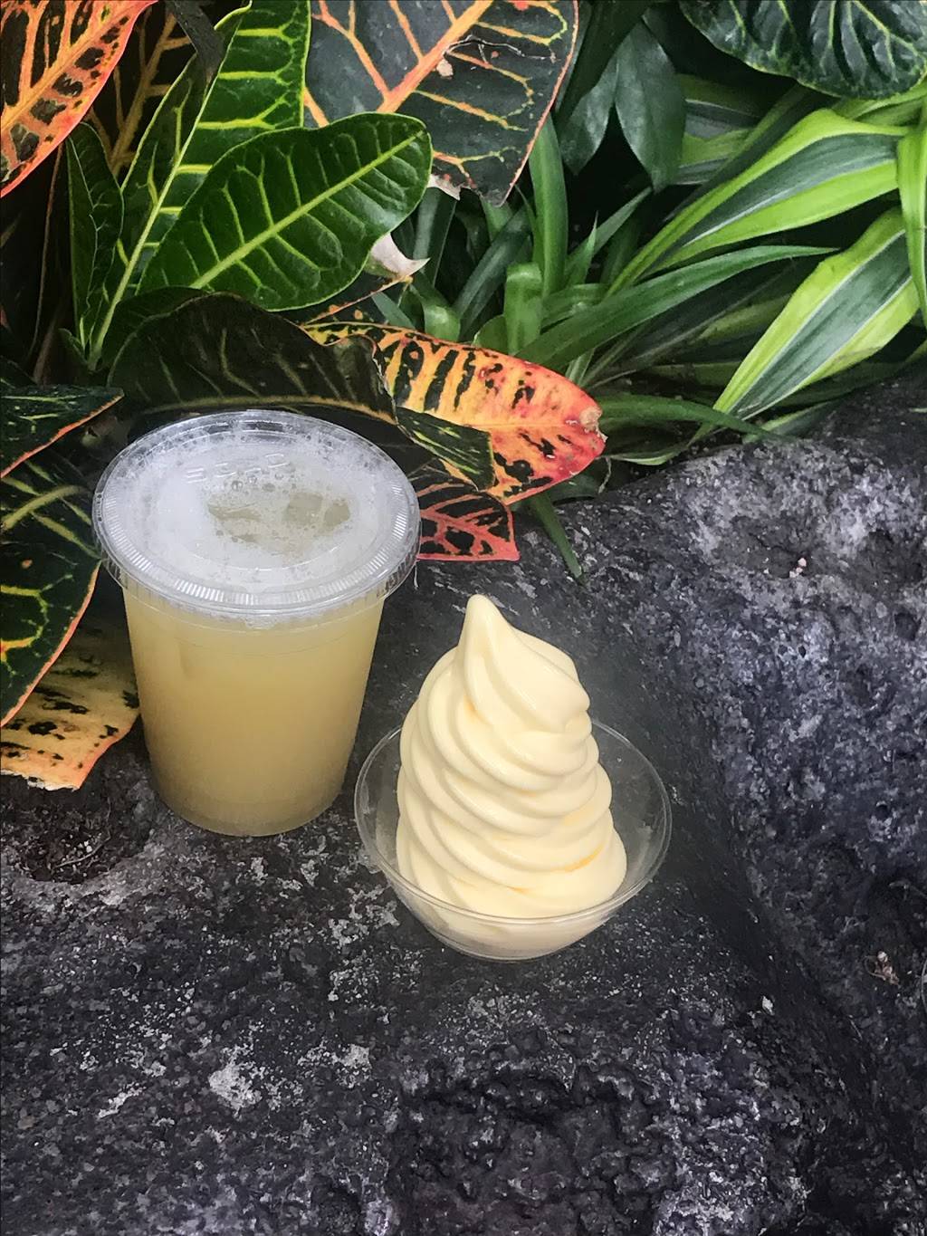 Tiki Juice Bar | meal takeaway | 1313 S Harbor Blvd, Anaheim, CA 92802, USA | 7147813463 OR +1 714-781-3463