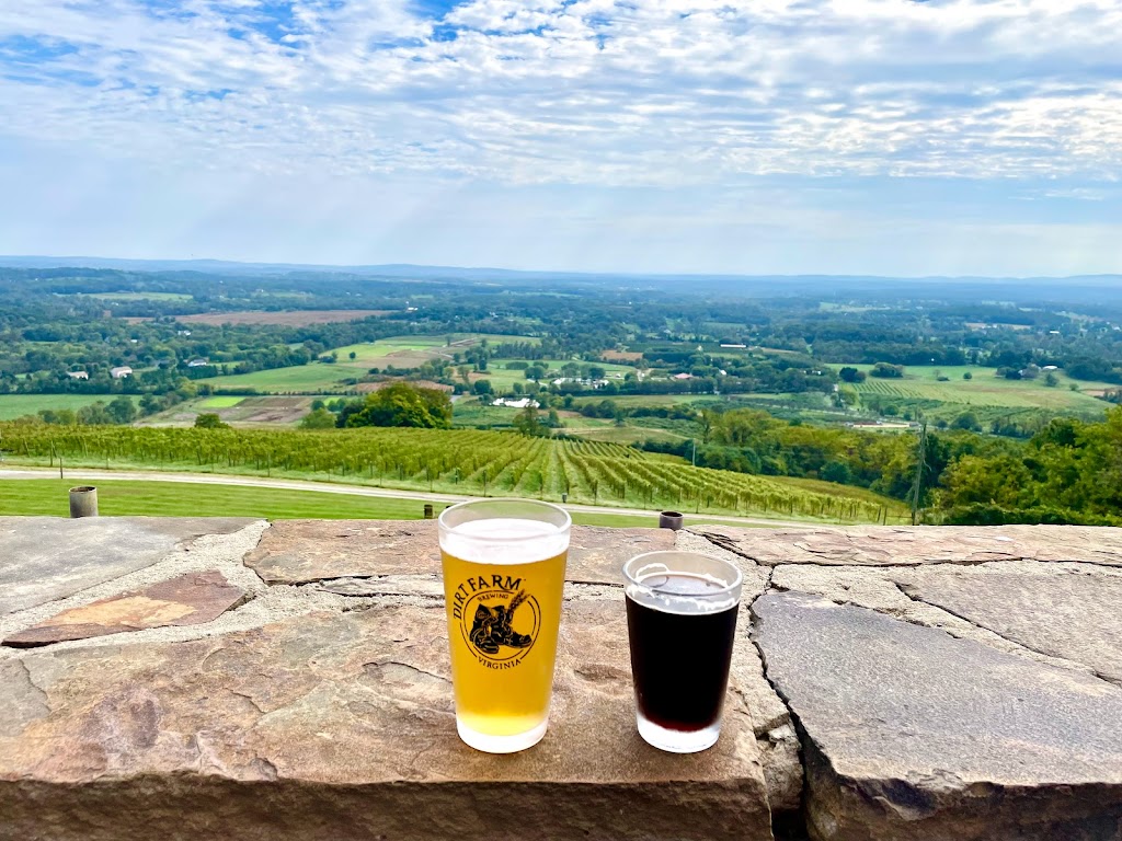 Dirt Farm Brewing | meal takeaway | 18701 Foggy Bottom Rd, Bluemont, VA 20135, USA | 5405542337 OR +1 540-554-2337