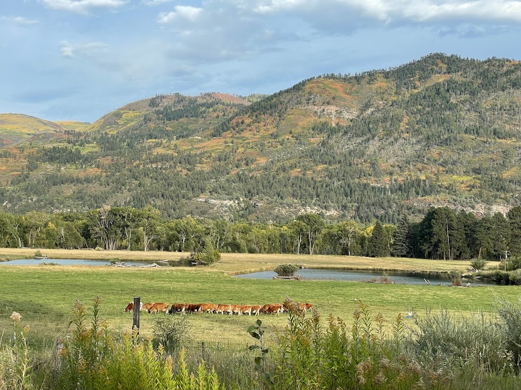 James Ranch Grill | restaurant | 33846 US Hwy 550, Durango, CO 81301, USA | 9707644222 OR +1 970-764-4222