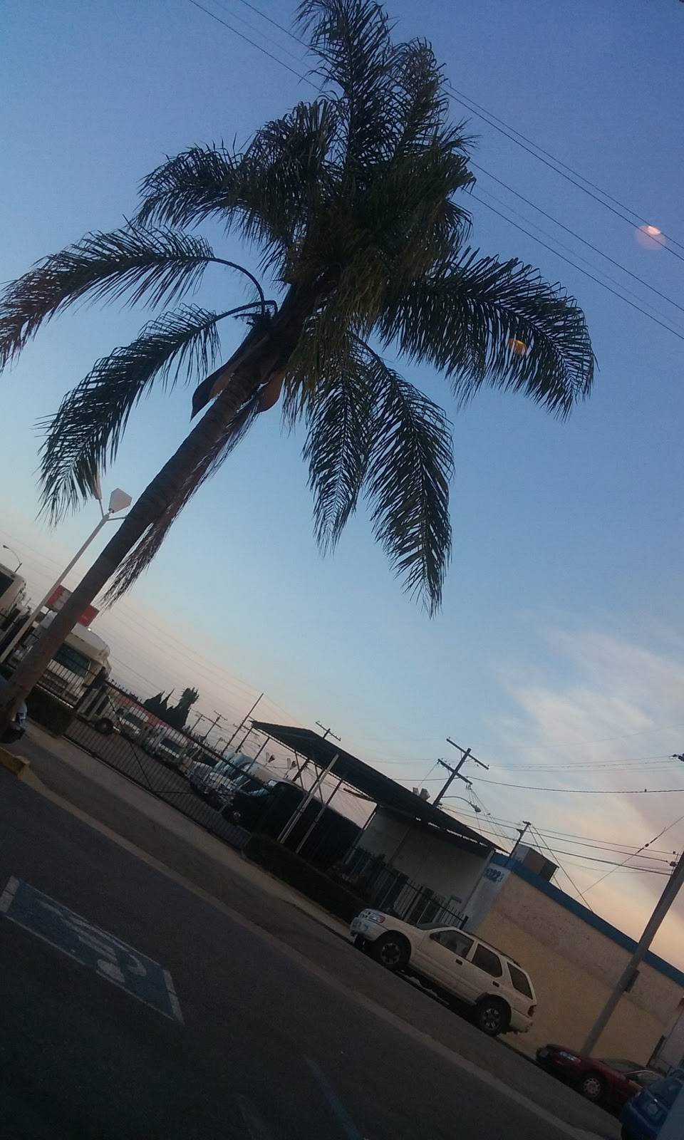 Tacos El Limoncito | restaurant | 10127 Hawthorne Blvd, Inglewood, CA 90304, USA | 3106710046 OR +1 310-671-0046