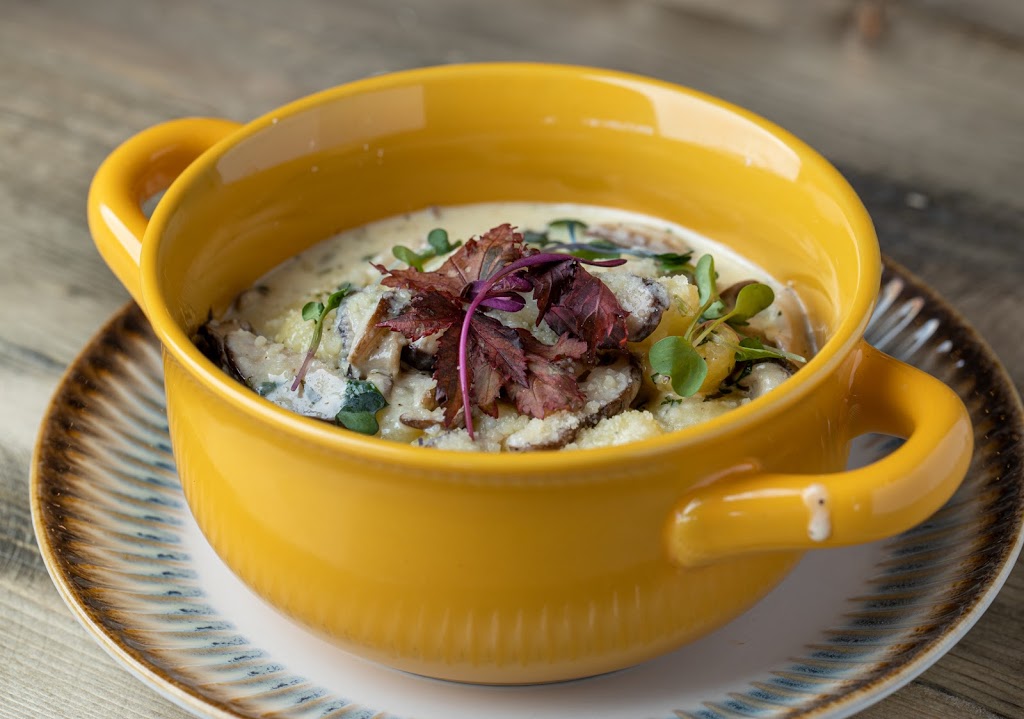 WHY NOT? | restaurant | 600 N Surf Rd, Hollywood, FL 33019, USA | 9542398075 OR +1 954-239-8075