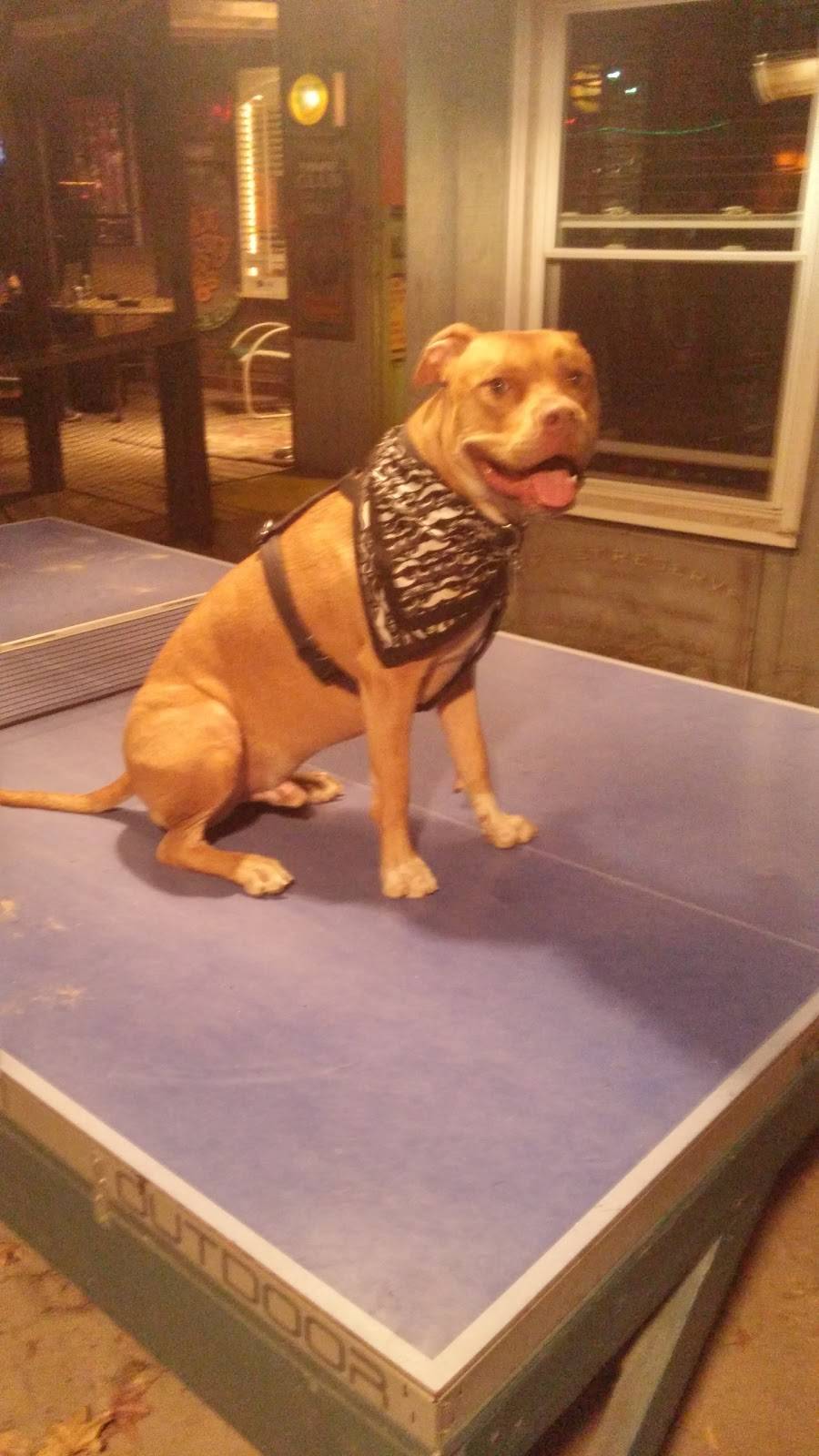 Smokey Joes Cafe | restaurant | 510 Briar Creek Rd, Charlotte, NC 28205, USA | 7043389380 OR +1 704-338-9380