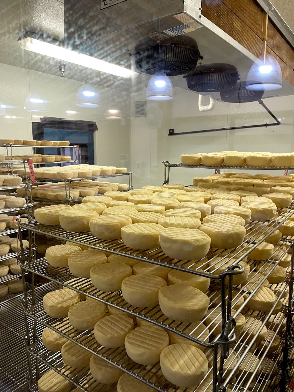 Cowgirl Creamery Barn Shop & Cantina (In-Store) | cafe | 80 4th St, Point Reyes Station, CA 94956, USA | 4156639335 OR +1 415-663-9335