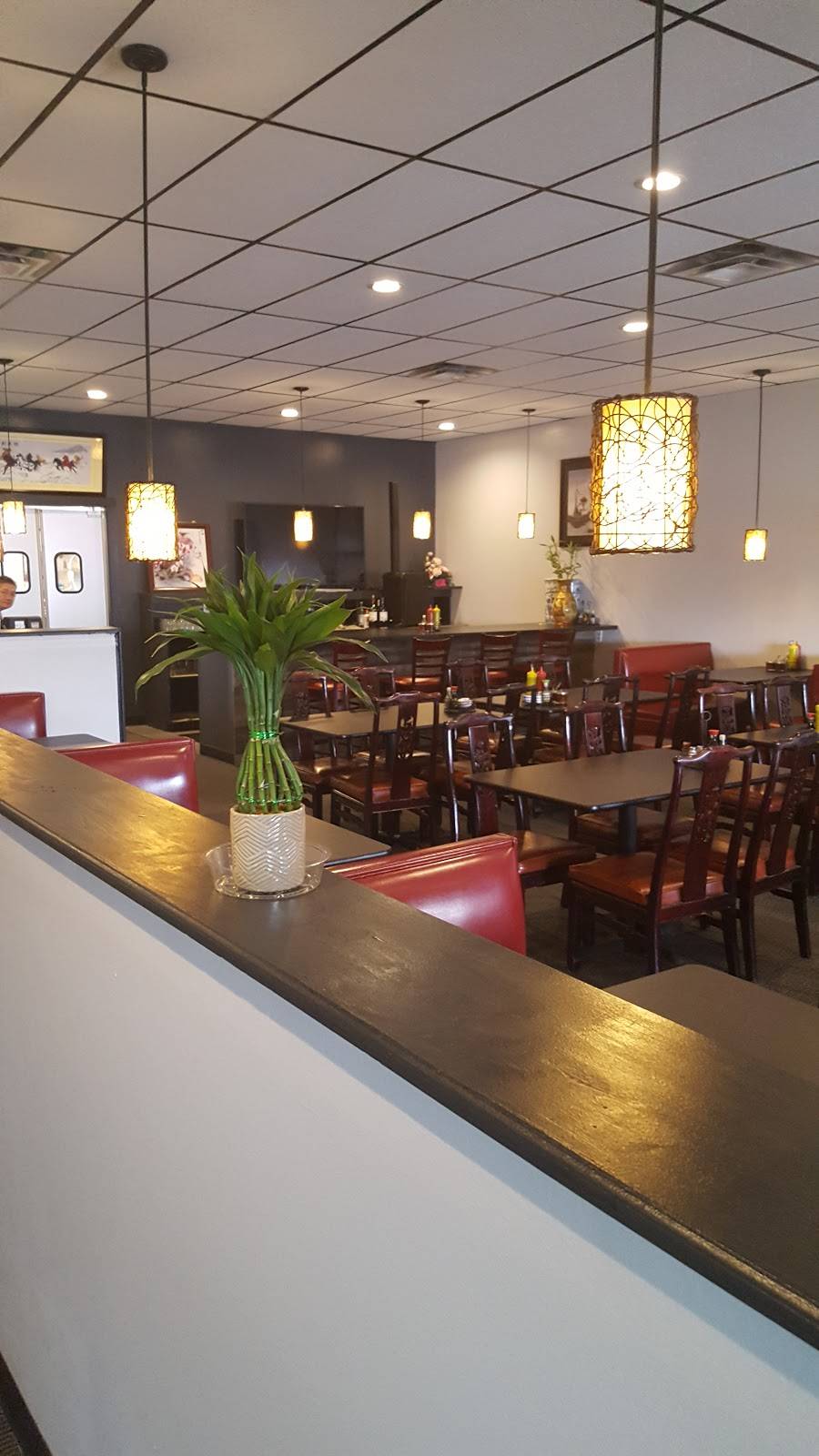 Pho Indy | restaurant | 4634 Coldwater Rd, Fort Wayne, IN 46825, USA | 2607154152 OR +1 260-715-4152