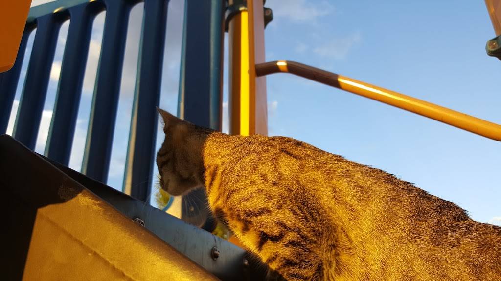 Little Caesars Pizza | meal takeaway | 6205 Upper Valley Rd, El Paso, TX 79932, USA | 9158774749 OR +1 915-877-4749