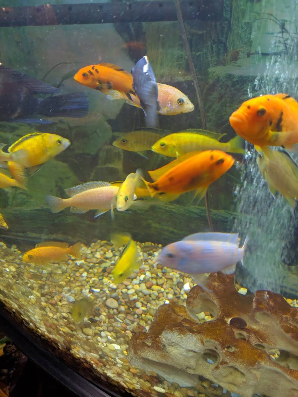 Thai Papaya Cuisine Inc | restaurant | 1434 Tutor Ln, Evansville, IN 47715, USA | 8124778424 OR +1 812-477-8424