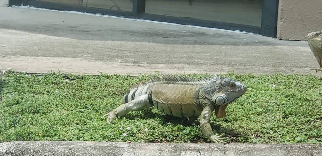 Burger King | restaurant | 2901 W Commercial Blvd, Fort Lauderdale, FL 33309, USA | 9547333442 OR +1 954-733-3442