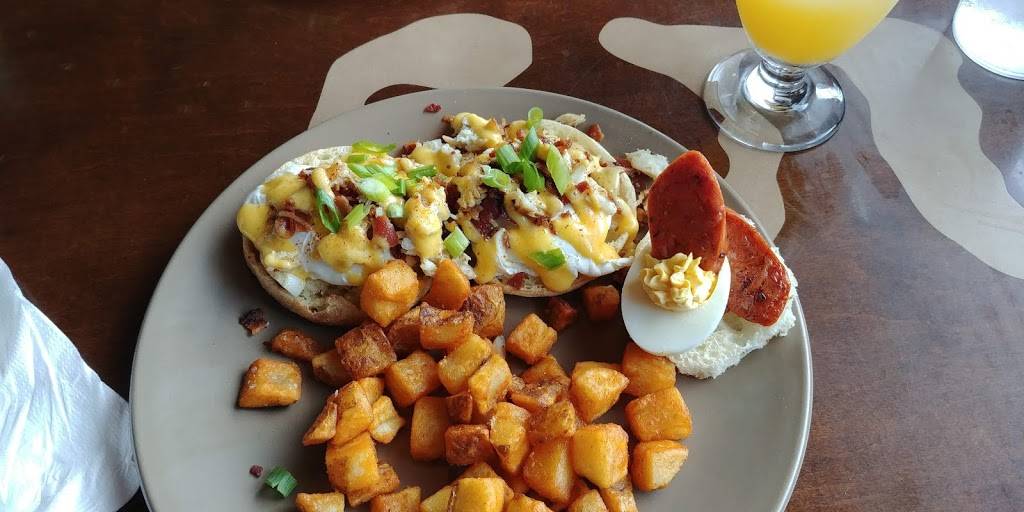 Hair Of The Dog Eatery, Norfolk | restaurant | 4820 Hampton Blvd, Norfolk, VA 23508, USA | 7573218483 OR +1 757-321-8483