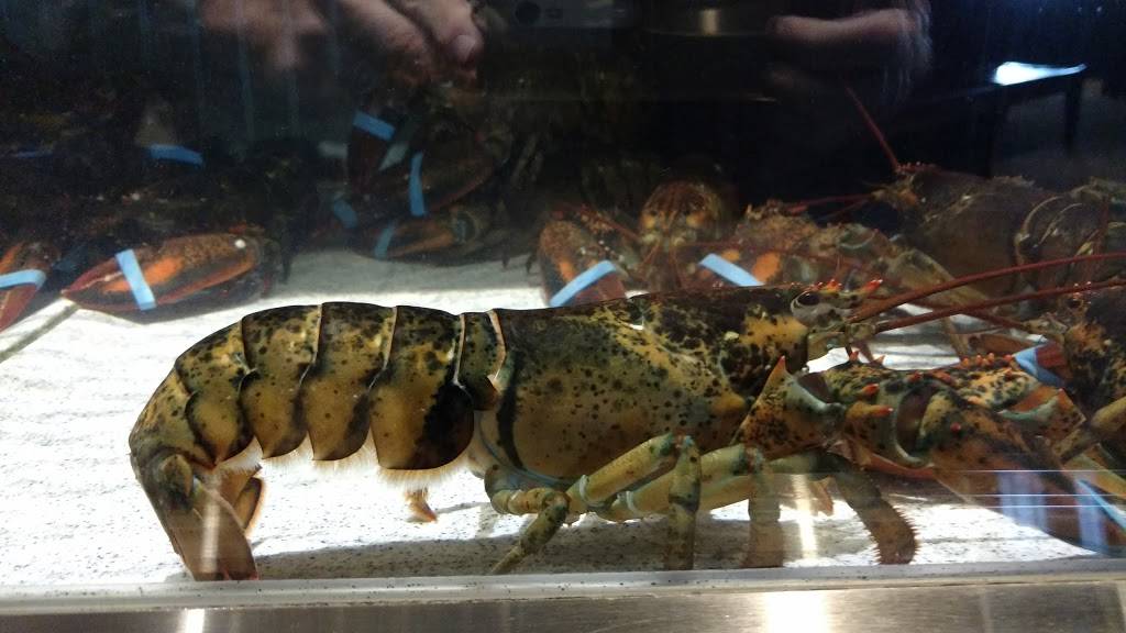 Red Lobster | restaurant | 1814 Gallatin Pike N, Madison, TN 37115, USA | 6158593434 OR +1 615-859-3434