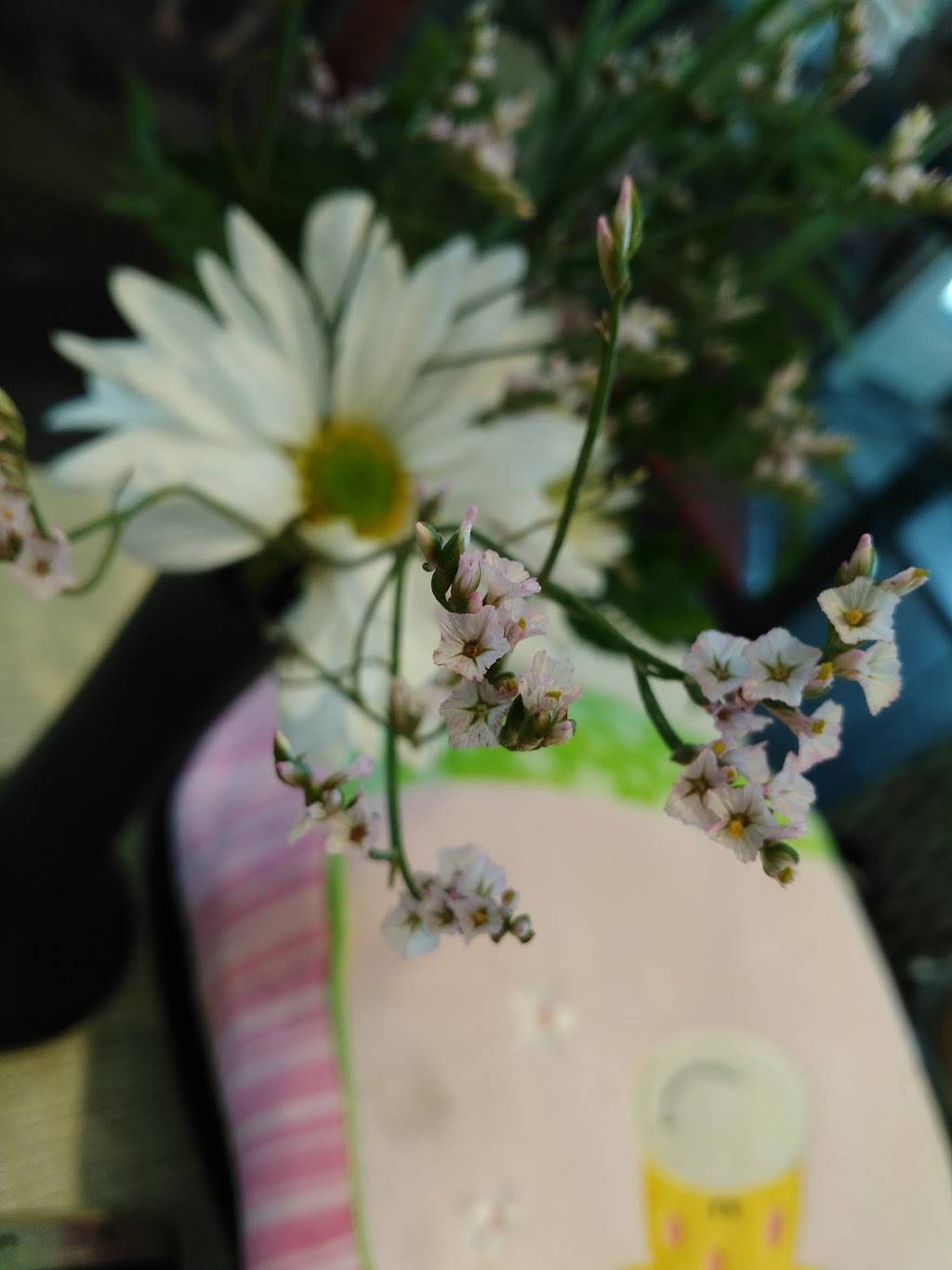 Chick-fil-A | restaurant | 7520 Kingston Pike, Knoxville, TN 37919, USA | 8655880100 OR +1 865-588-0100