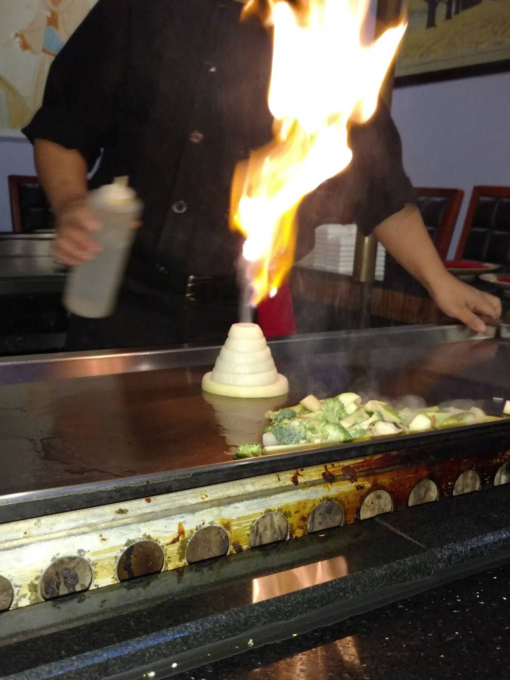 Tokyo Diner | meal takeaway | 4089 Londonderry Rd, Harrisburg, PA 17109, USA | 7175454226 OR +1 717-545-4226