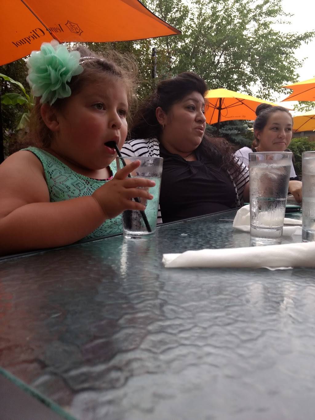 Tommys Summer Place | restaurant | 1325 Linda St, Rocky River, OH 44116, USA | 4403319687 OR +1 440-331-9687