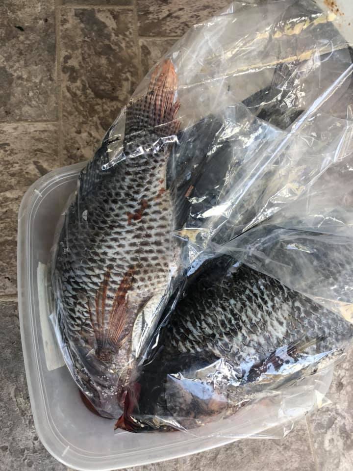 Kikwetu Kenyan Cuisine | restaurant | 12336 Pacific Hwy SW, Lakewood, WA 98499, USA | 2063556863 OR +1 206-355-6863