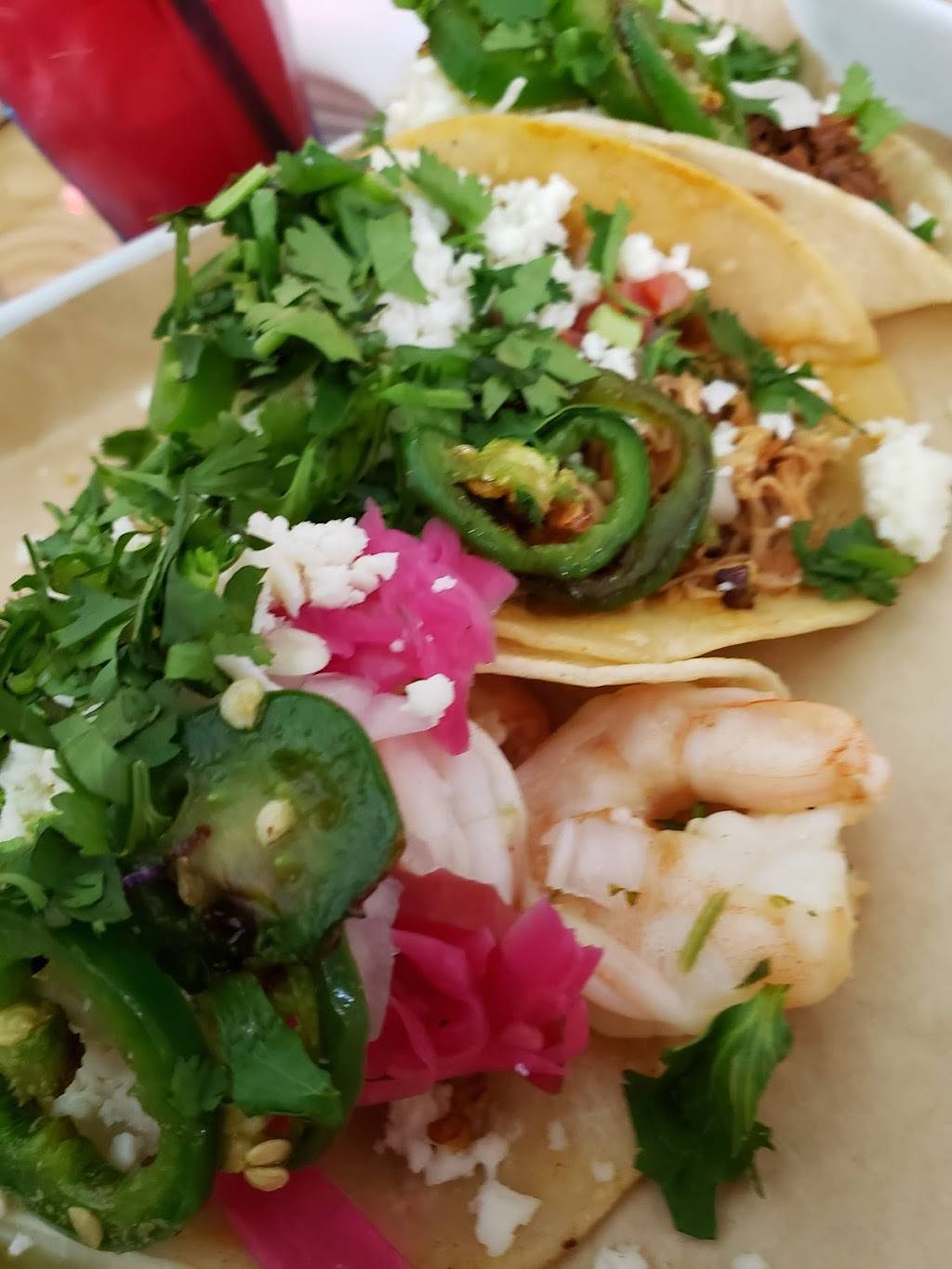 Taco Heads | restaurant | 1921 N Henderson Ave, Dallas, TX 75206, USA | 4697790143 OR +1 469-779-0143