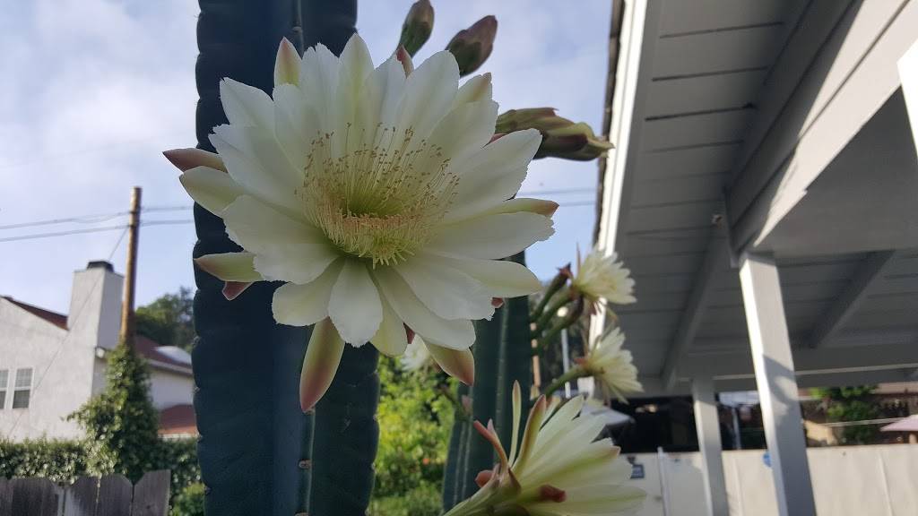 Monte Carlo Restaurant & Banquet | restaurant | 7258 Foothill Blvd, Tujunga, CA 91042, USA | 8183520199 OR +1 818-352-0199