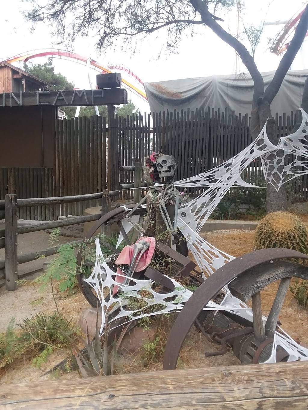 Sutters | restaurant | 8039 Beach Blvd, Buena Park, CA 90620, USA | 7142205074 OR +1 714-220-5074