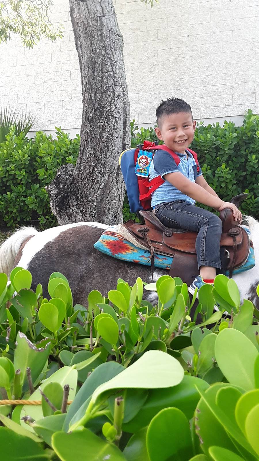 Mi Pais Express II | restaurant | Wabasso Dr, West Palm Beach, FL 33409, USA | 5612490347 OR +1 561-249-0347