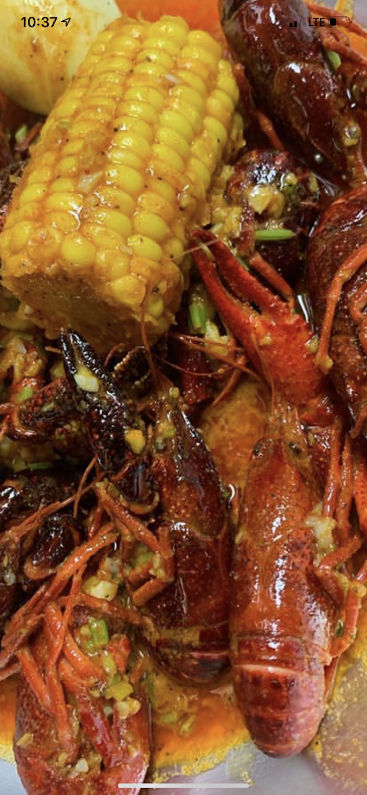 Rocking Crab Seafood And Bar | restaurant | 391 34st street N, St. Petersburg, FL 33713, USA | 7272028287 OR +1 727-202-8287