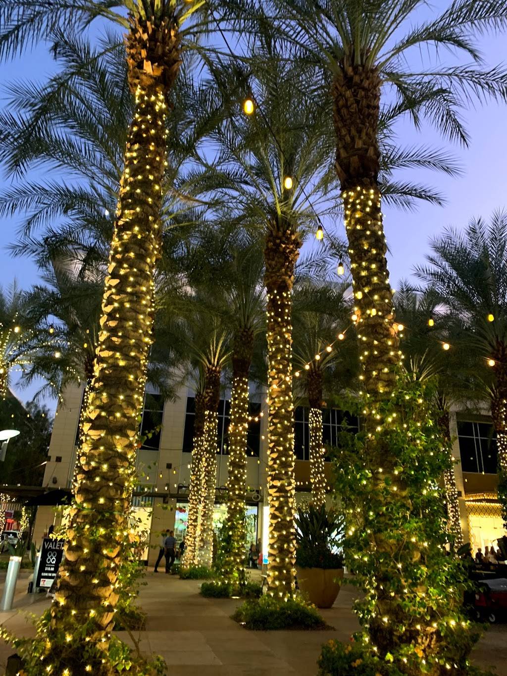 True Food Kitchen | restaurant | 15191 N Scottsdale Rd #100, Scottsdale, AZ 85254, USA | 4802654500 OR +1 480-265-4500