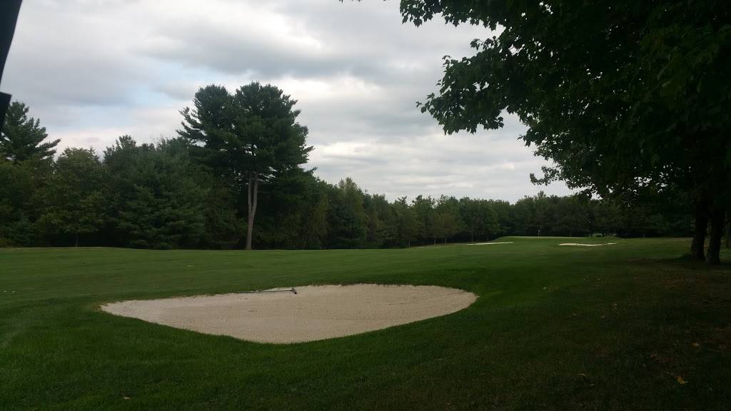 Blue Shamrock Golf Club | restaurant | 2230 Fireline Rd, Palmerton, PA 18071, USA | 6108262504 OR +1 610-826-2504