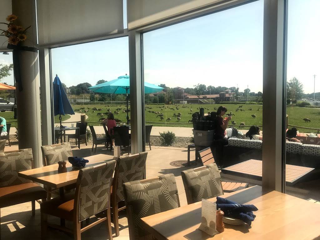 Shoreline Bar & Grille | restaurant | 2 Sassafras Pier, Erie, PA 16507, USA | 8146361005 OR +1 814-636-1005