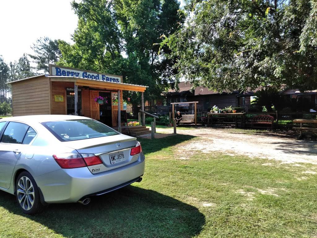 Berry Good Farms | restaurant | 930 William Gibbs Rd, Tifton, GA 31793, USA | 2298210746 OR +1 229-821-0746
