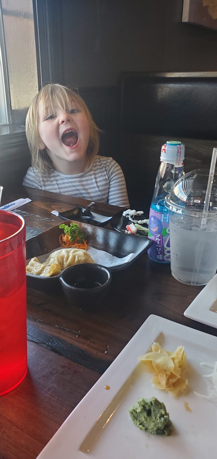 Sakura KJ | restaurant | 204 S Main St, Crown Point, IN 46307, USA | 2193332999 OR +1 219-333-2999