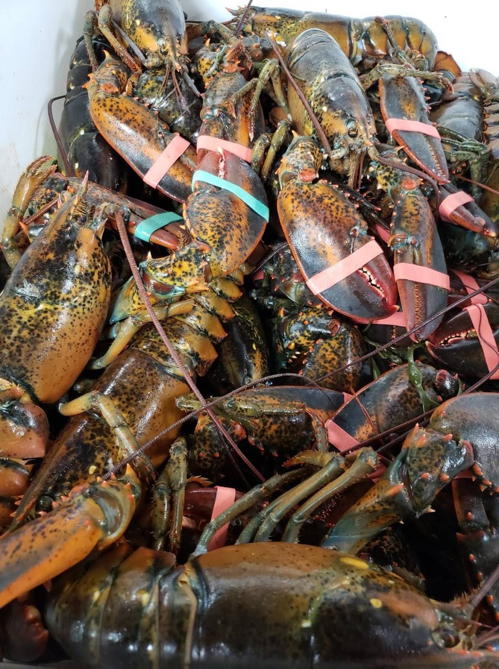 La Union Oyster & Clam Bar | restaurant | 102 N Franklin St, Hempstead, NY 11550, USA | 5164939624 OR +1 516-493-9624