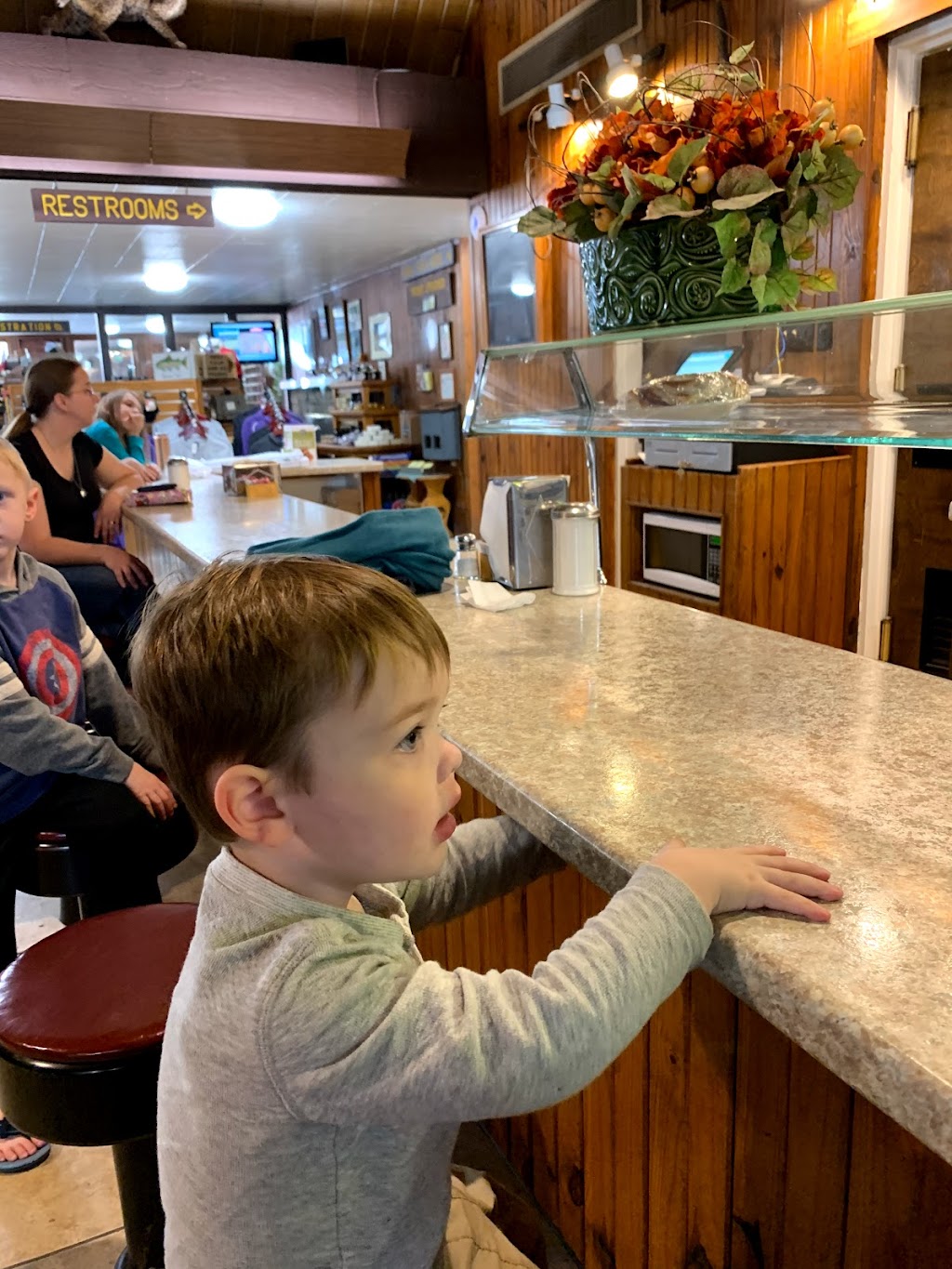 Montauk State Park Lodge | restaurant | 420 County Rd 6670, Salem, MO 65560, USA | 5735482434 OR +1 573-548-2434