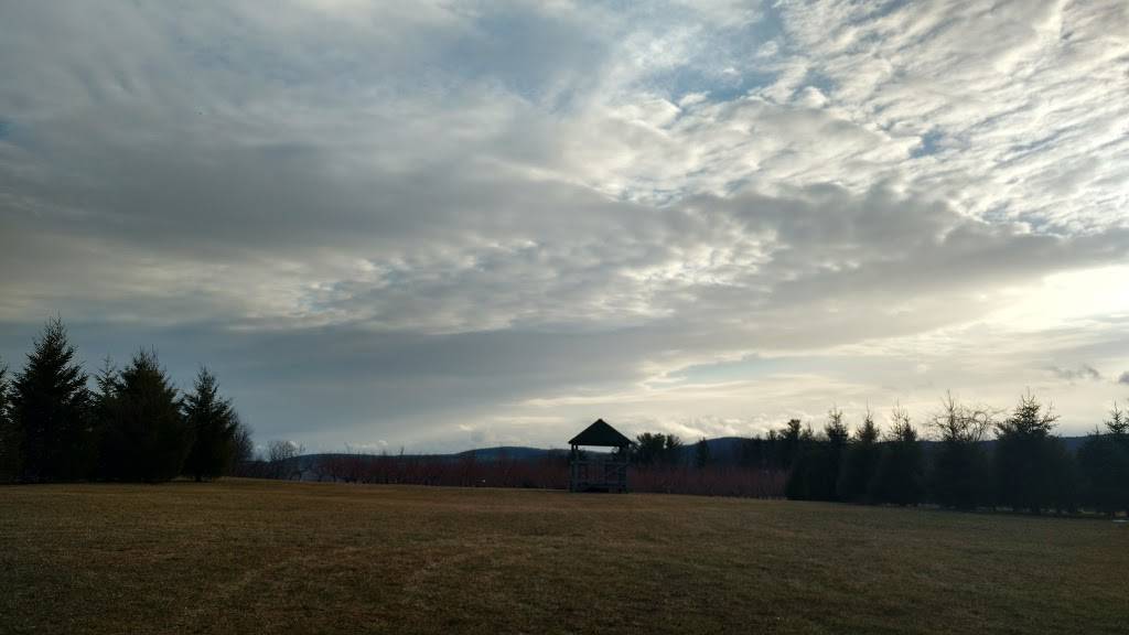 Apple Hill Farm | restaurant | 143 Joslin St, Leominster, MA 01453, USA | 9784667804 OR +1 978-466-7804