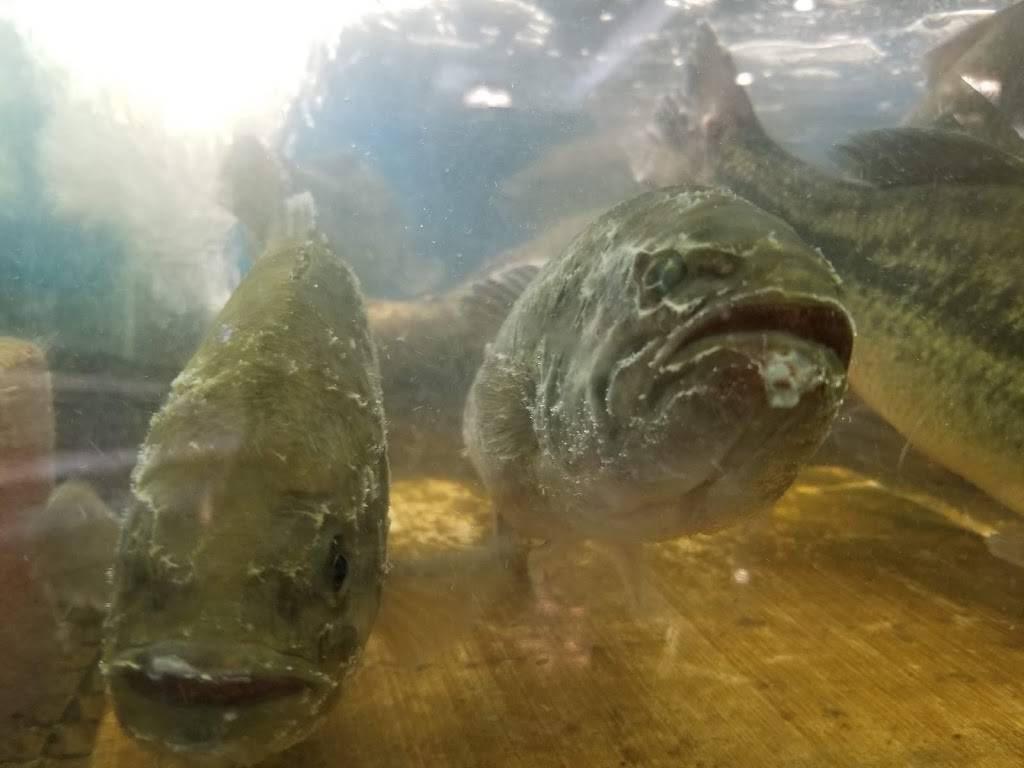 Asian Pearl | restaurant | 6821 Stockton Blvd, Sacramento, CA 95823, USA | 9163918881 OR +1 916-391-8881