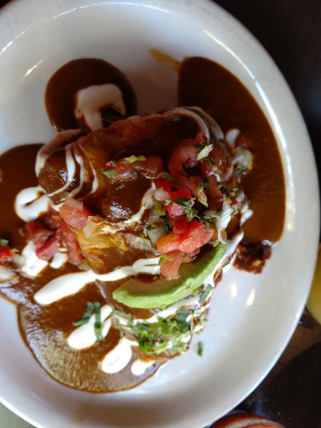 Maria Maria | restaurant | 1470 N Broadway, Walnut Creek, CA 94596, USA | 9259461010 OR +1 925-946-1010