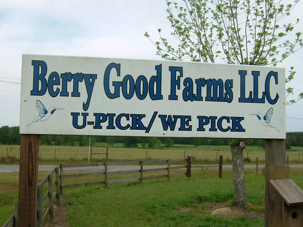 Berry Good Farms | restaurant | 930 William Gibbs Rd, Tifton, GA 31793, USA | 2298210746 OR +1 229-821-0746