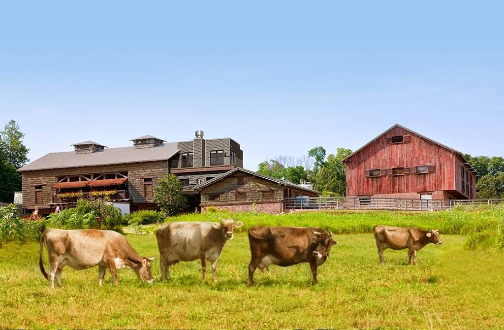 Traders Point Creamery | restaurant | 9101 Moore Rd, Zionsville, IN 46077, USA | 3177331700 OR +1 317-733-1700