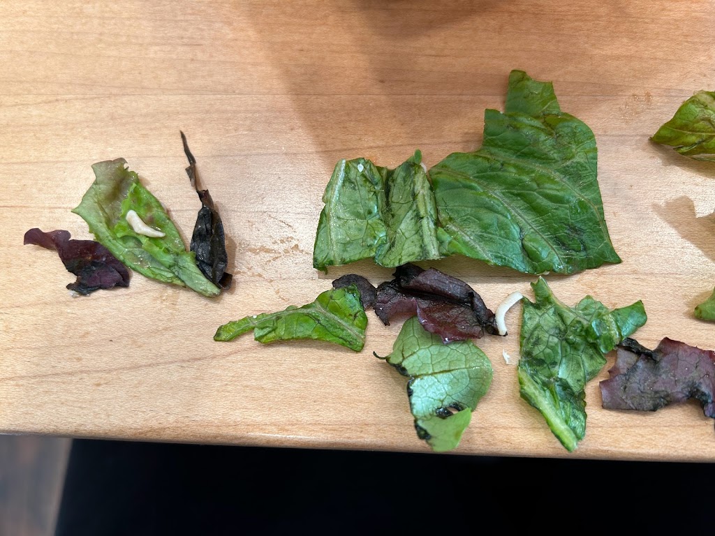 Salad and Go | restaurant | 2080 W River Rd, Tucson, AZ 85704, USA | 4804000634 OR +1 480-400-0634