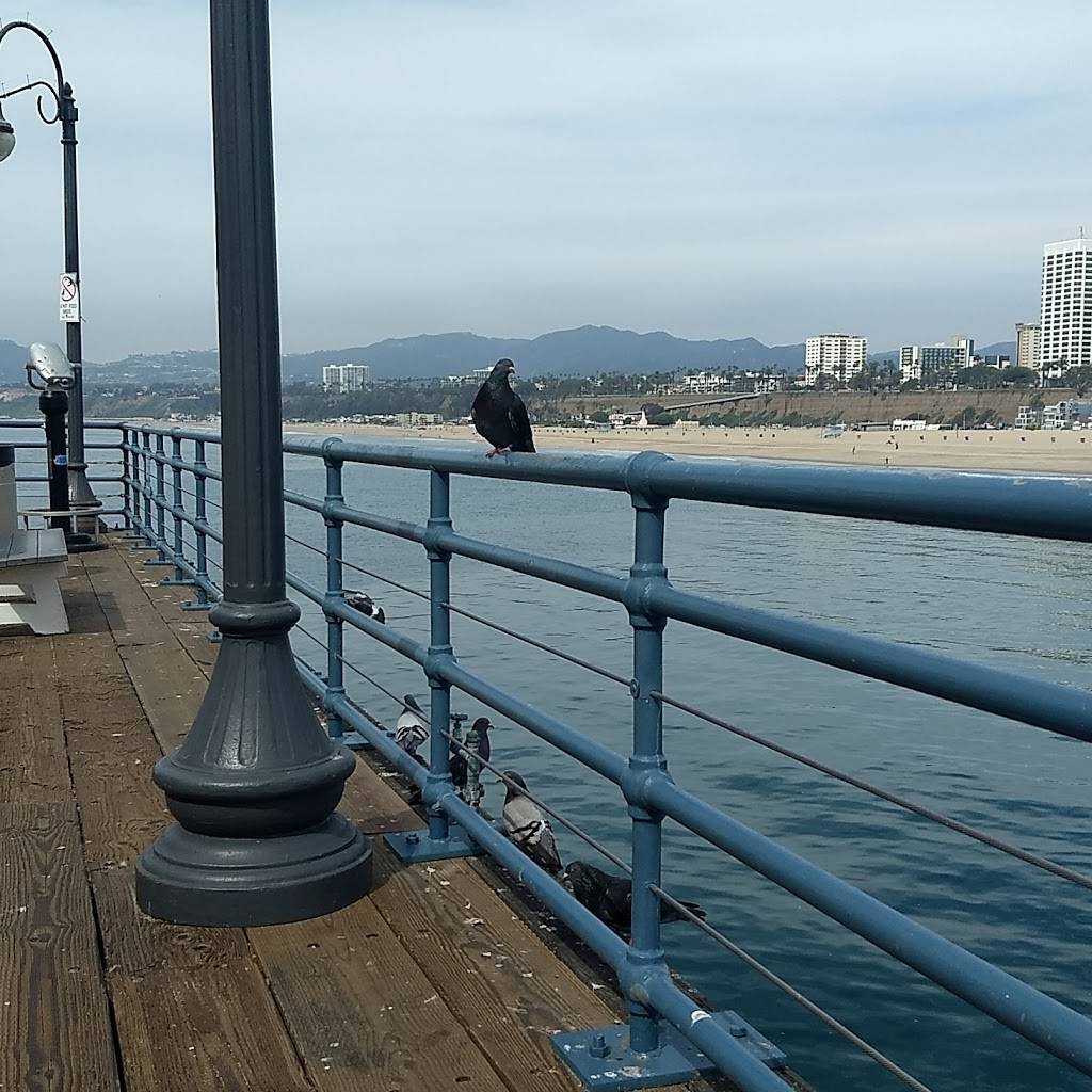 Pier Tamales | restaurant | 330 Santa Monica Pier, Santa Monica, CA 90401, USA | 3104306243 OR +1 310-430-6243