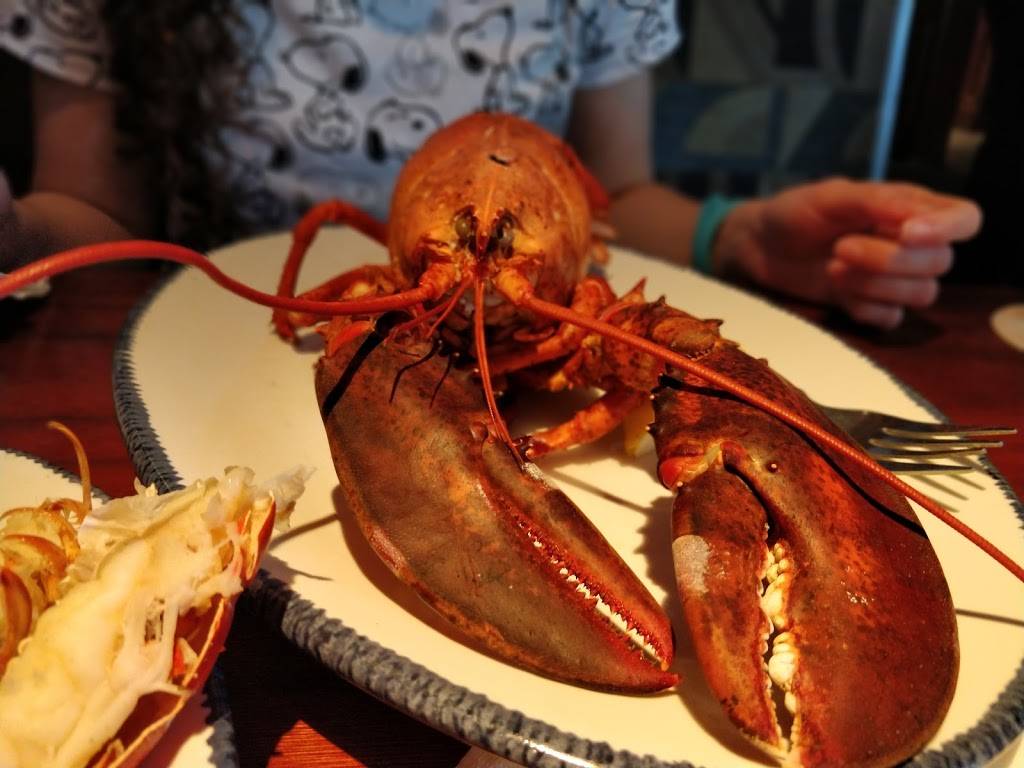 Red Lobster | restaurant | 7373 W Colonial Dr, Orlando, FL 32818, USA | 4072952791 OR +1 407-295-2791