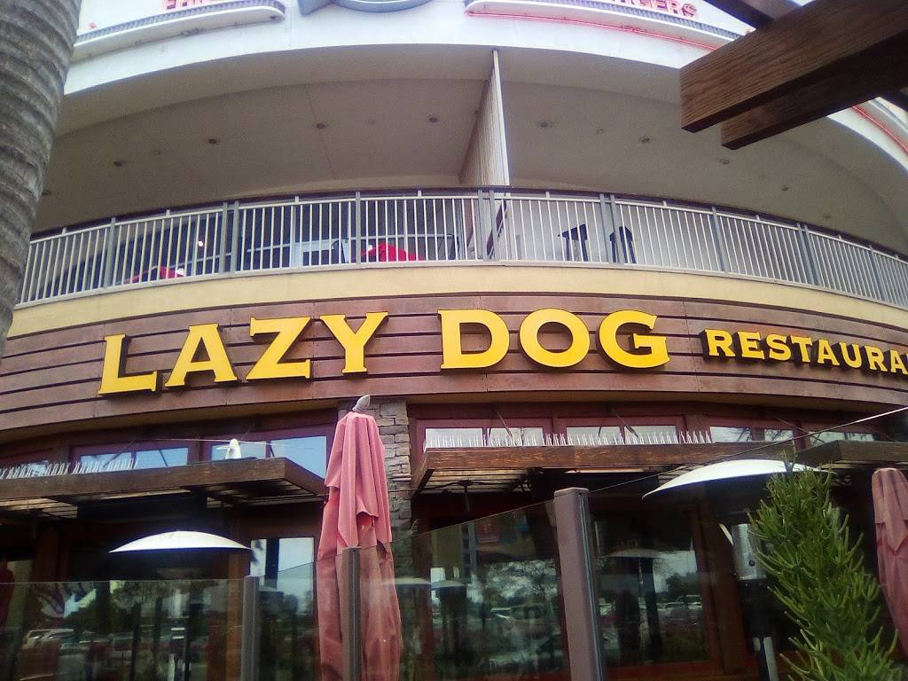 Lazy Dog Restaurant & Bar | restaurant | 3525 W Carson St, Torrance, CA 90503, USA | 3109216080 OR +1 310-921-6080