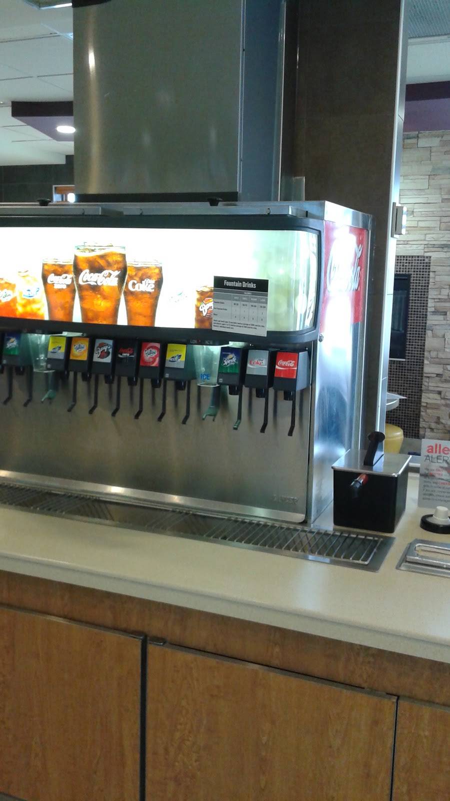 McDonalds | cafe | 50 McNaughton Ave, Wallaceburg, ON N8A 1R9, Canada | 5196273376 OR +1 519-627-3376