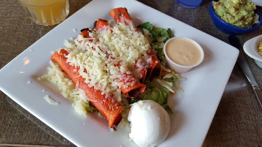 Blue Coyote Grill | restaurant | 445 N Palm Canyon Dr, Palm Springs, CA 92262, USA | 7603271196 OR +1 760-327-1196