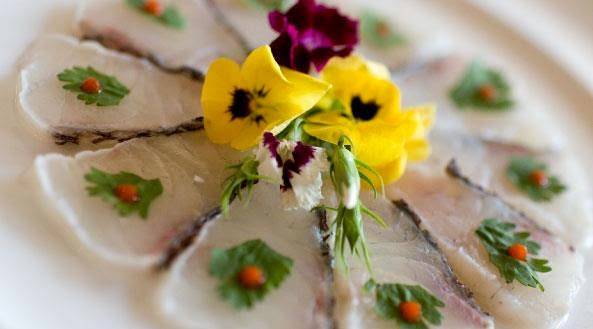 Sake Toro Sushi | restaurant | 8801 Coleman Blvd, Frisco, TX 75034, USA | 2148722831 OR +1 214-872-2831